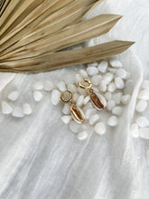 Load image into Gallery viewer, Cowrie shell Huggies, shell hoops, beachy earrings
