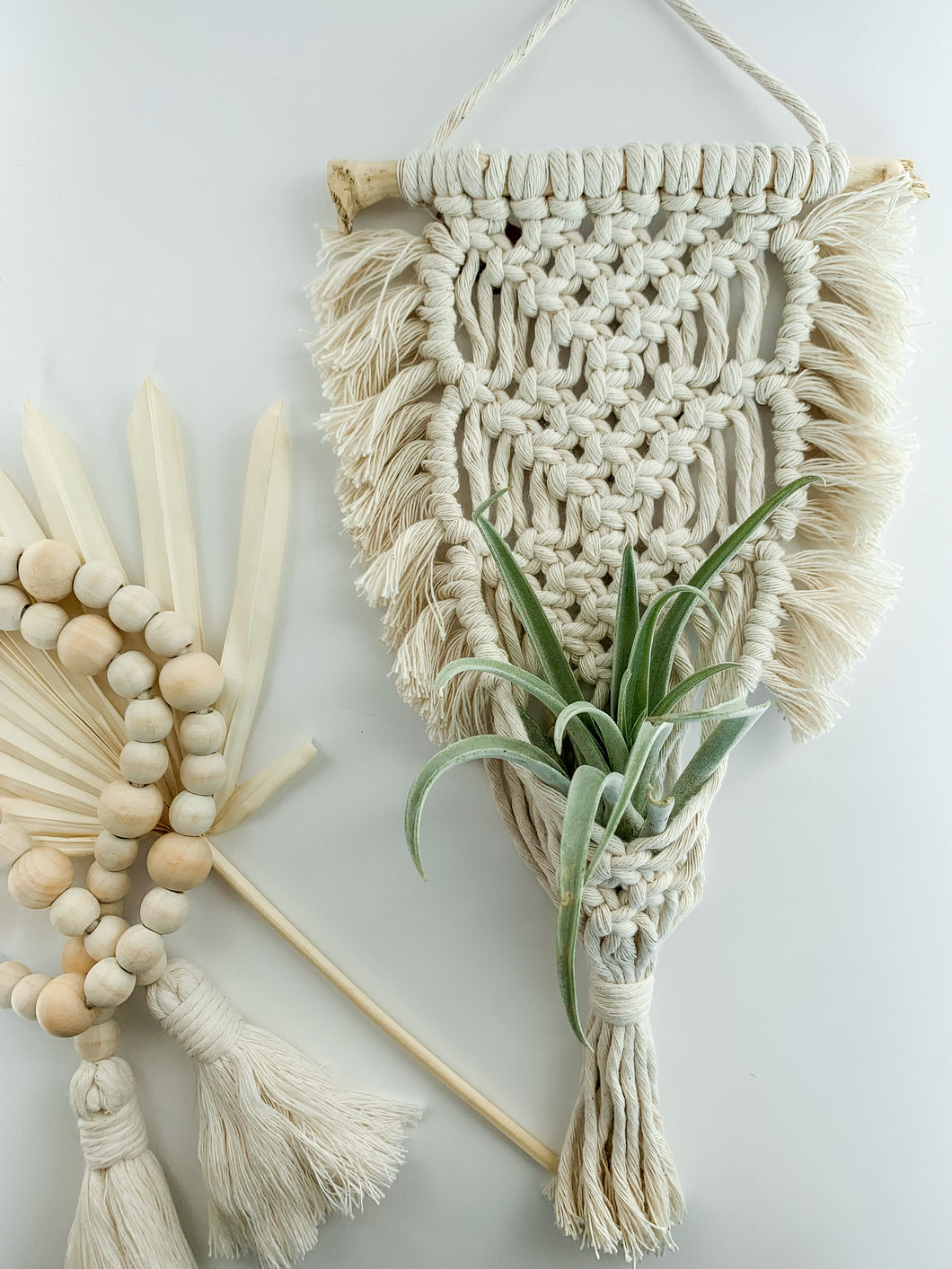 A macrame air plant wall hanger with fringe detailing