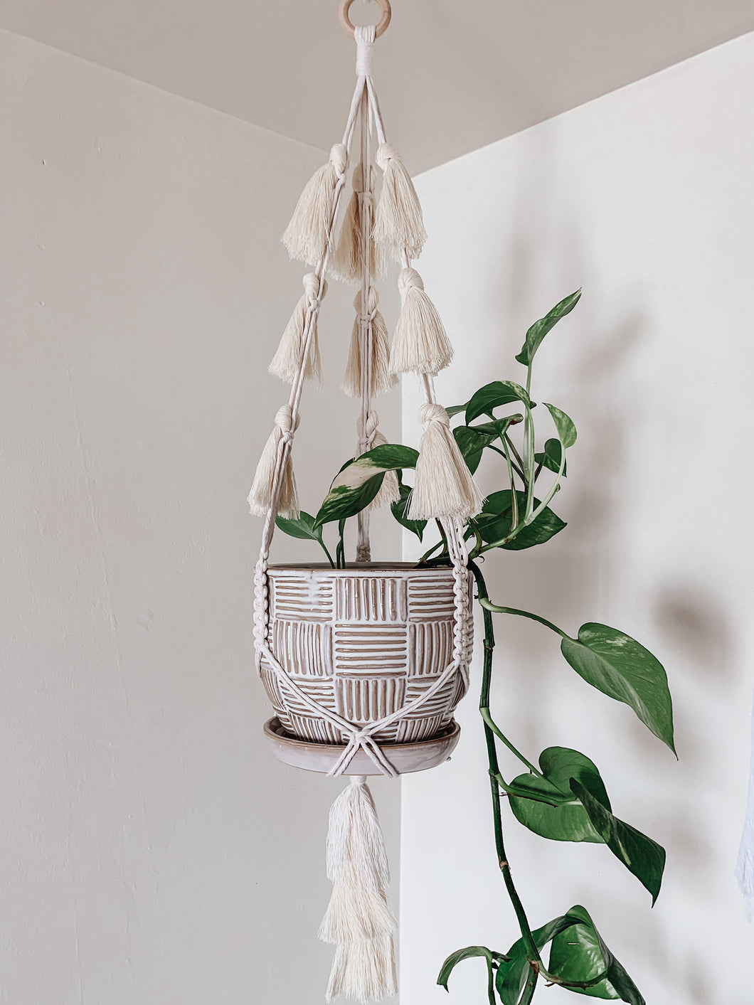 White tassel hanging plant holder holding a leafy plant